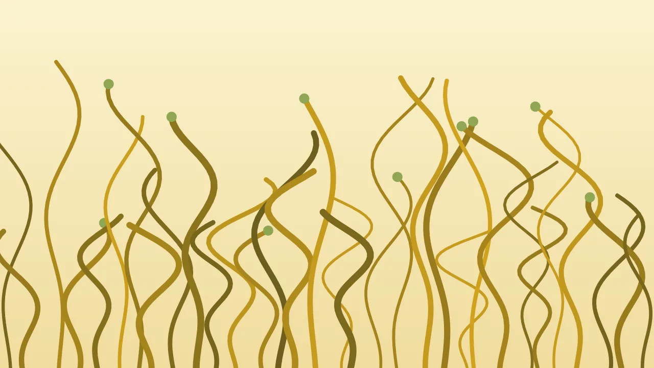 Kelp forest — amber and deep lime organic wallpaper